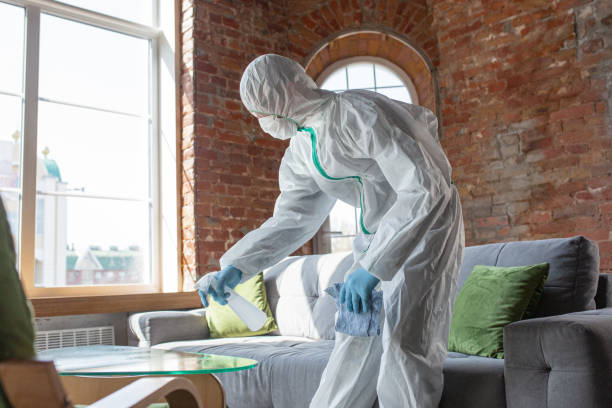 Why You Should Choose Our Mold Remediation Services in Loganville, PA