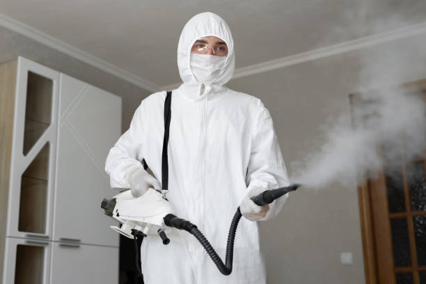 Trusted Loganville, PA Mold Removal Experts